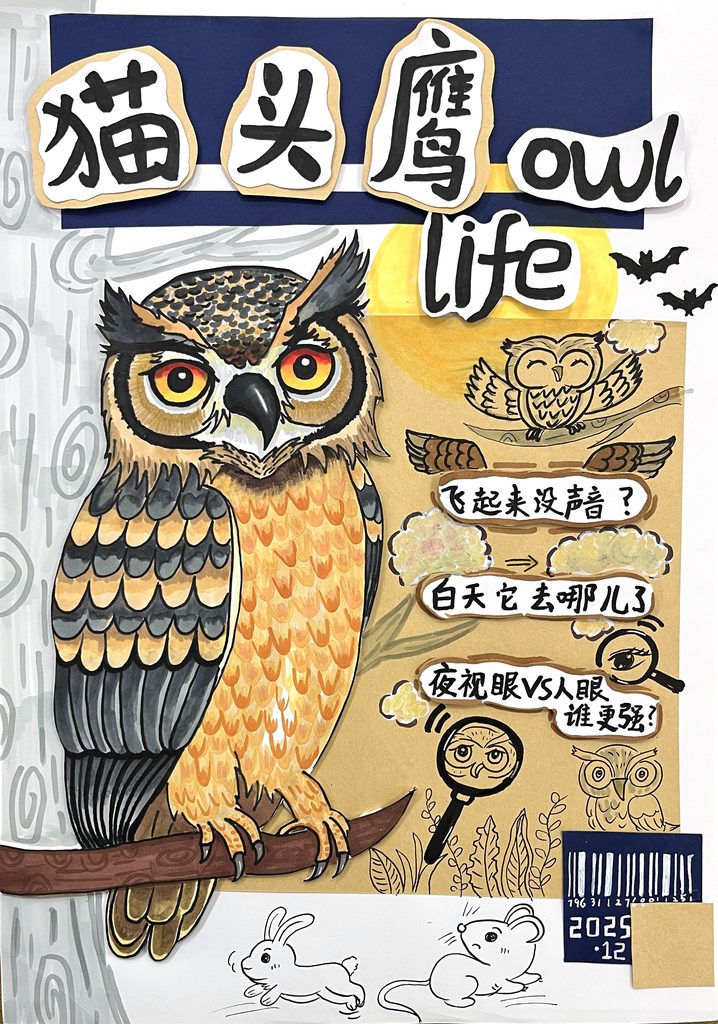 夜行猫头鹰课效图
